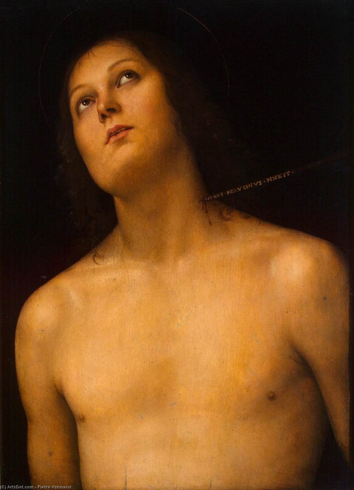 Bust Of St Sebastian — Vannucci Pietro (le Perugin)