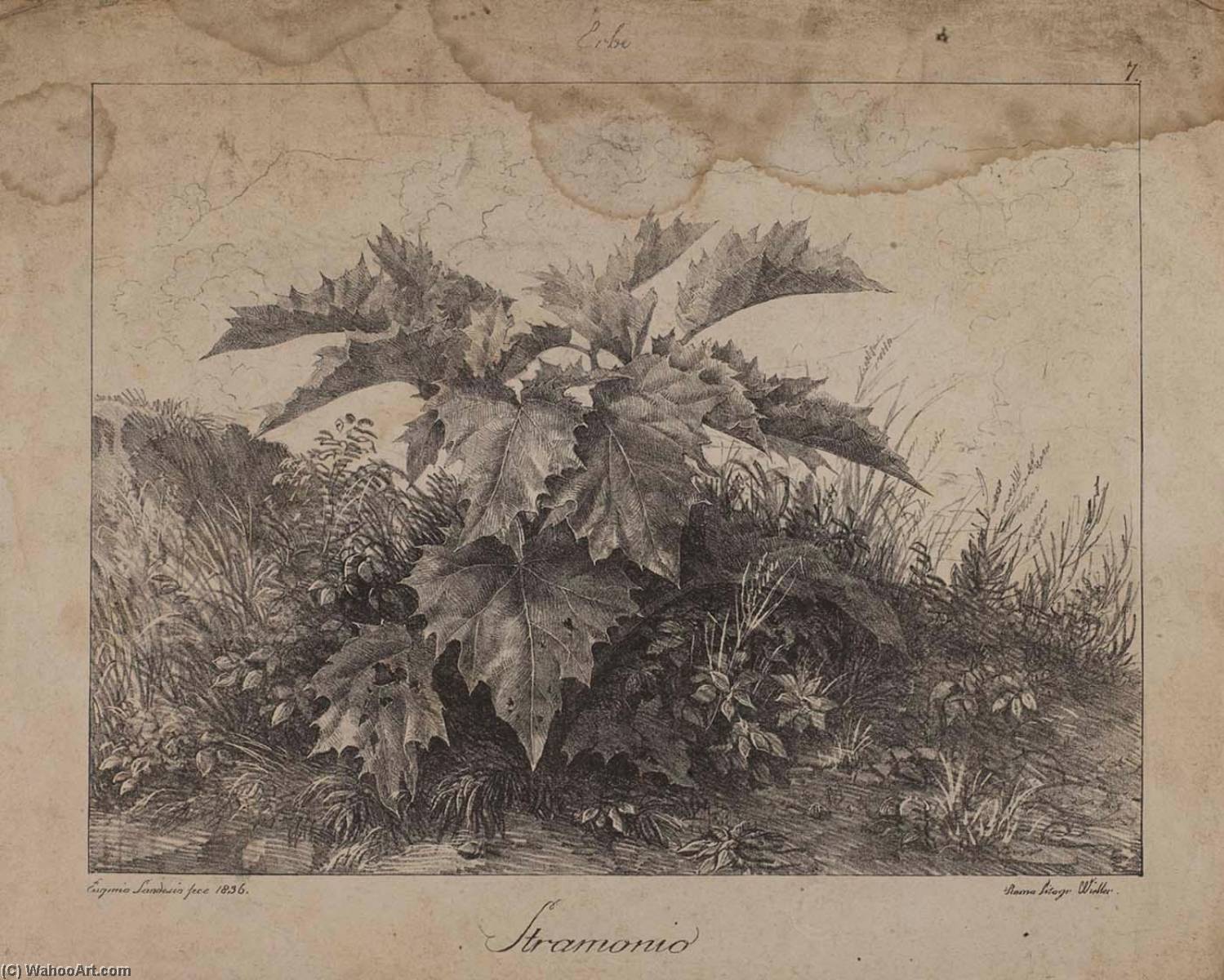 Stramonio — Eugenio Landesio
