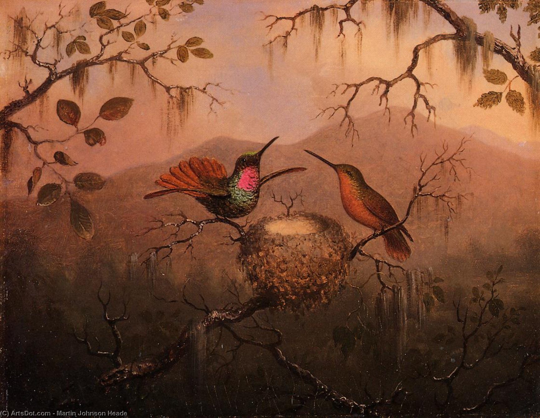 Two Hummingbirds At A Nest — マーティン・ジョンソン・ヒーデ
