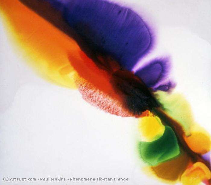Phenomena Tibetan Flange — ポール・ジェンキンス
