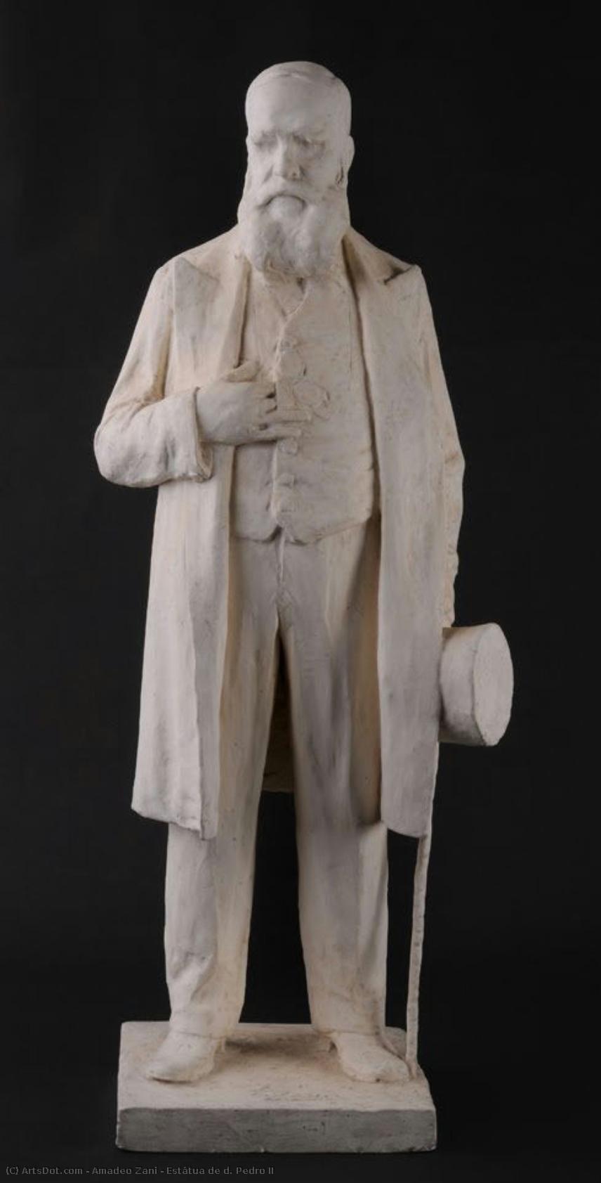 Estátua De D. Pedro Ii — Amadeo Zani