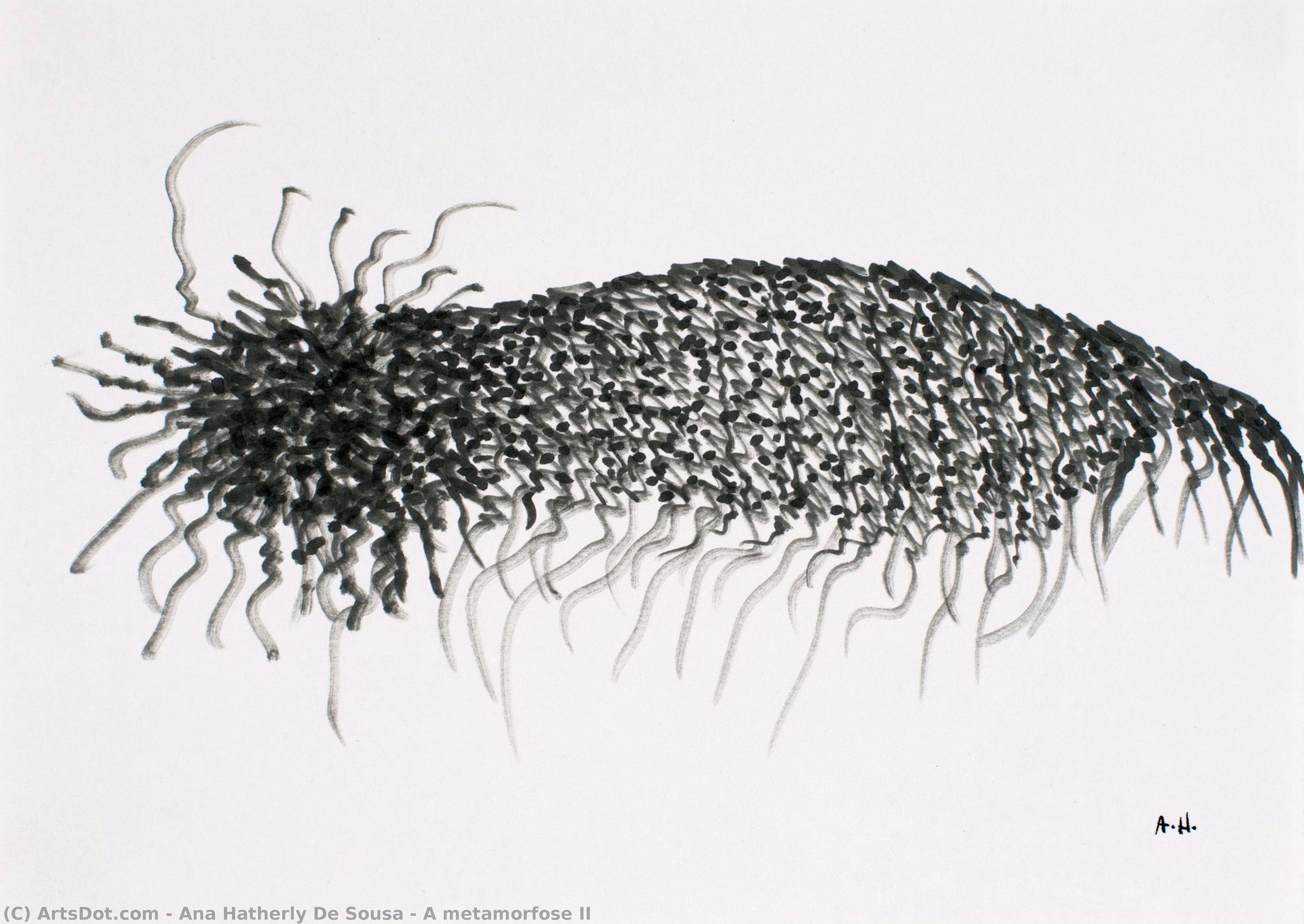 A Metamorfose Ii — Ana Hatherly De Sousa