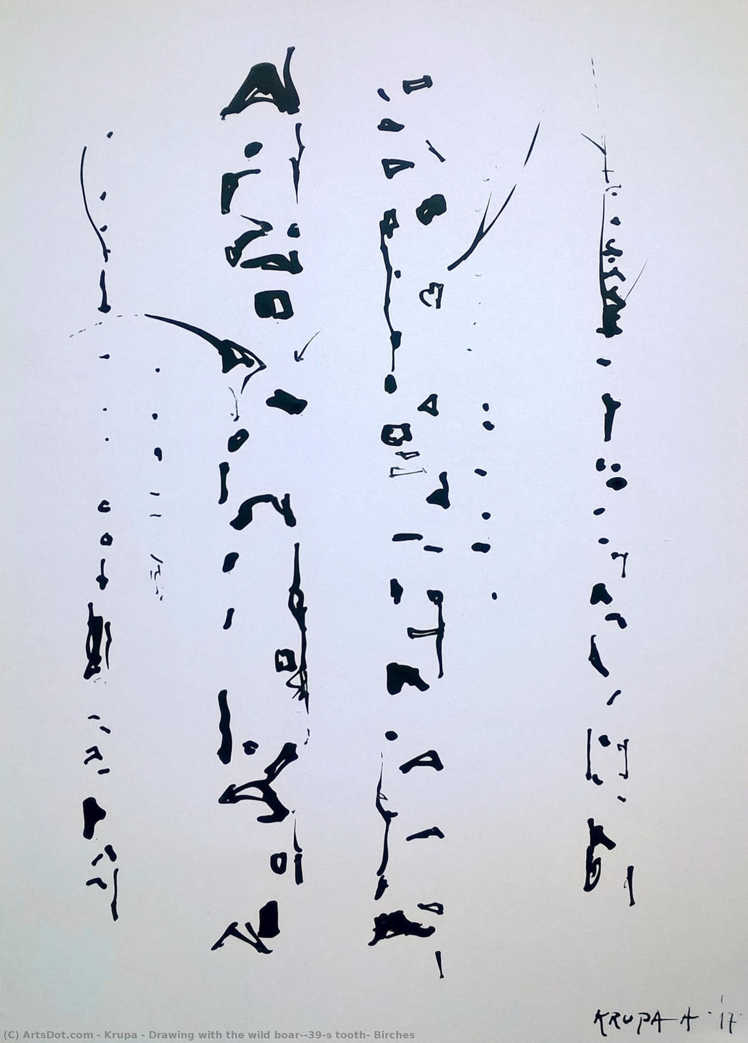 Drawing With The Wild Boar's Tooth: Birches — Alfred Freddy Krupa