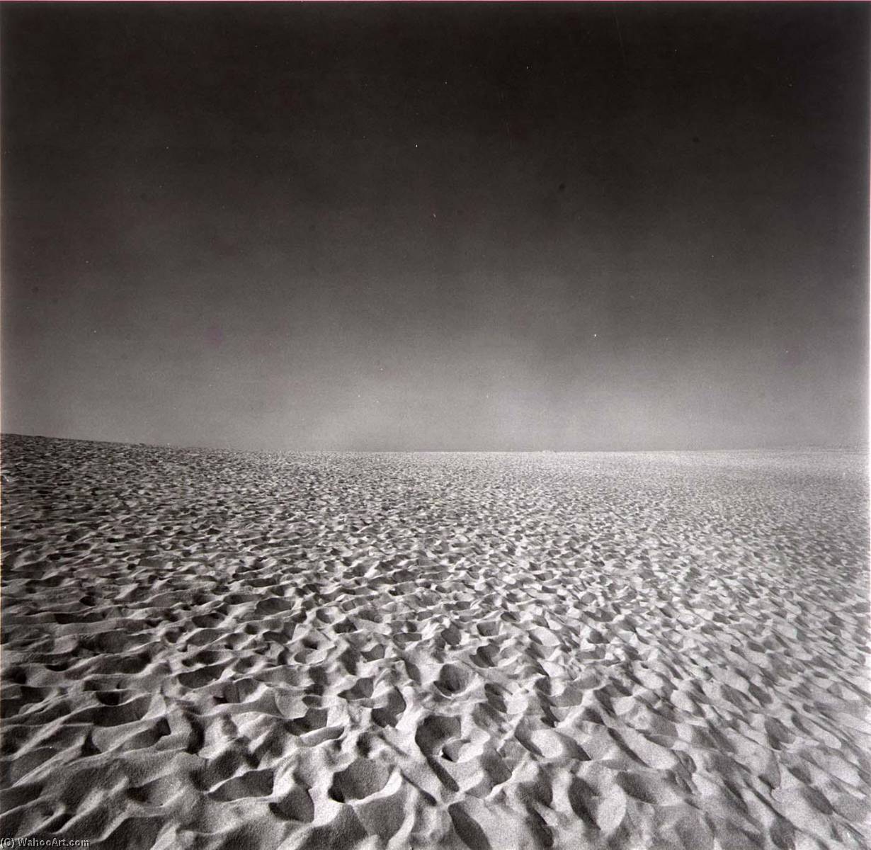 Cape Cod — Harry Callahan