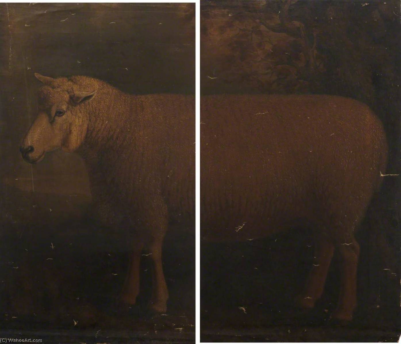 Cotswold Ram (diptych) — Vilijam Šils