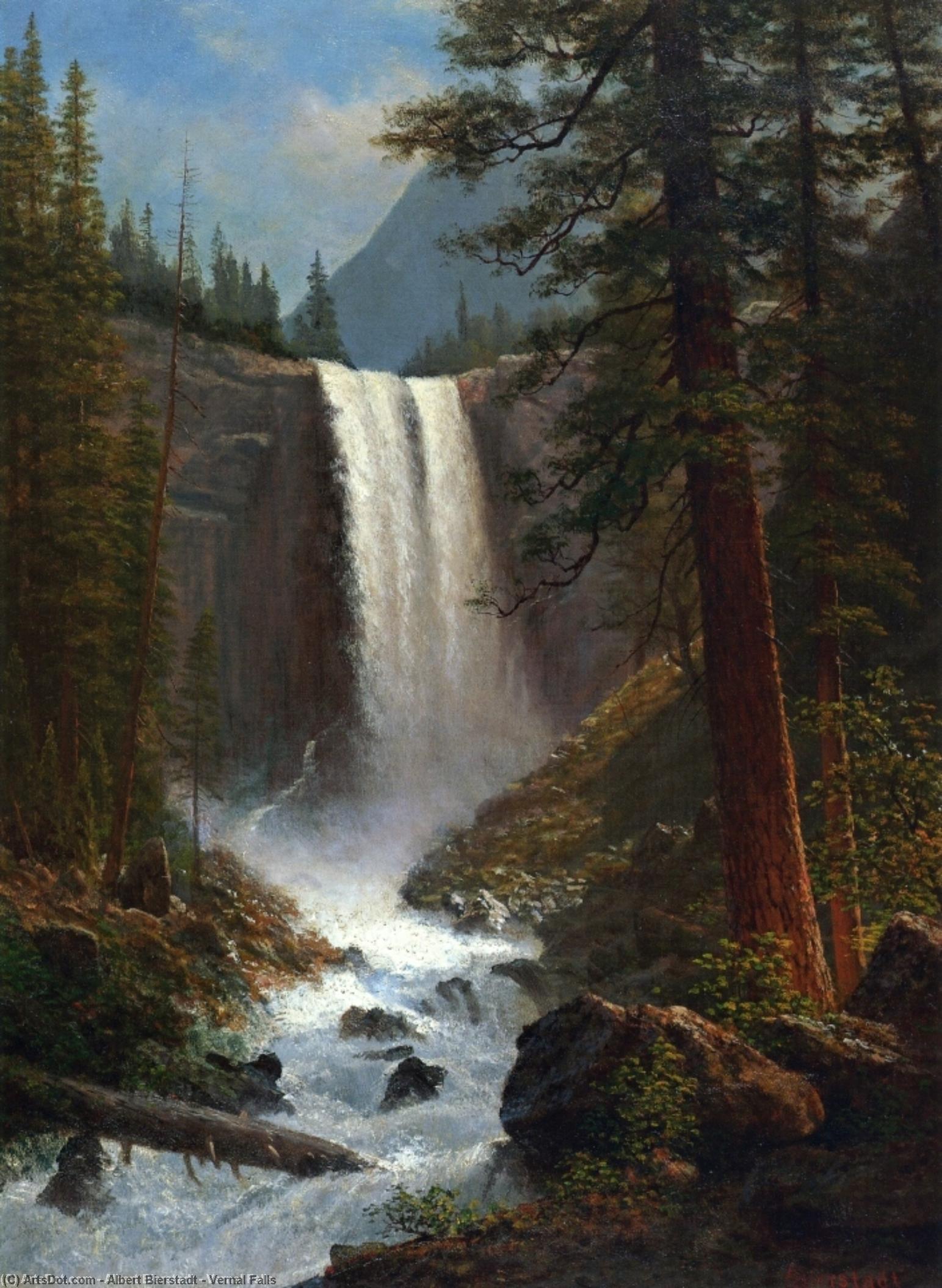 Vernal Falls — Альберт Биерштадт