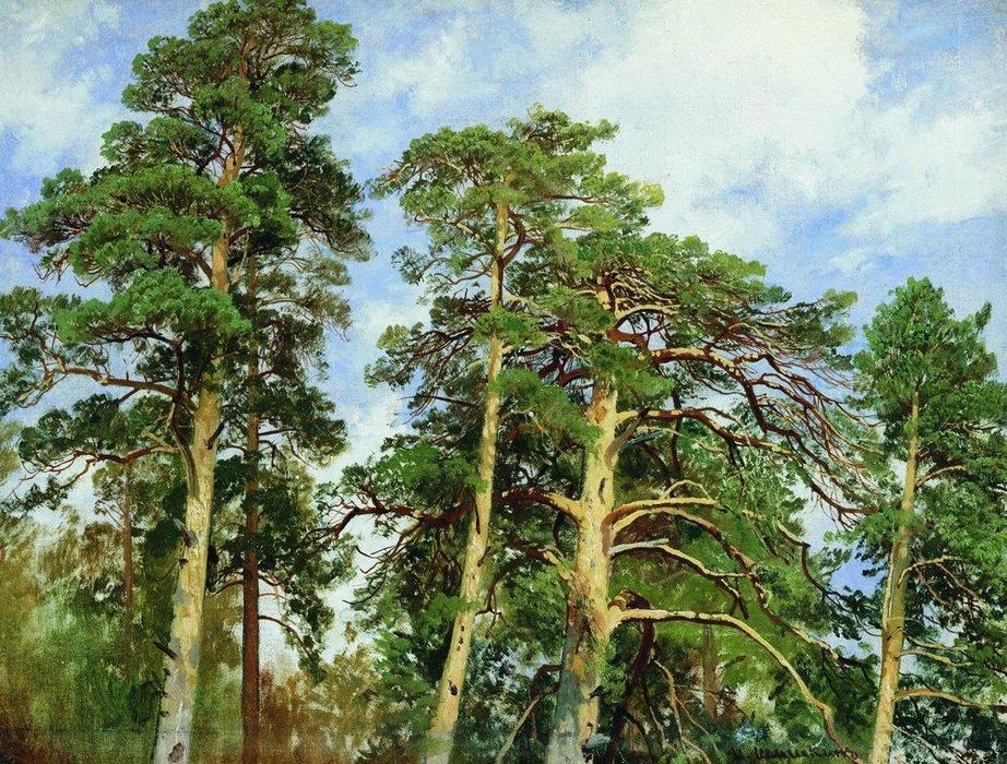 The Tops Of The Pines — Ivan Ivanovich Shishkin