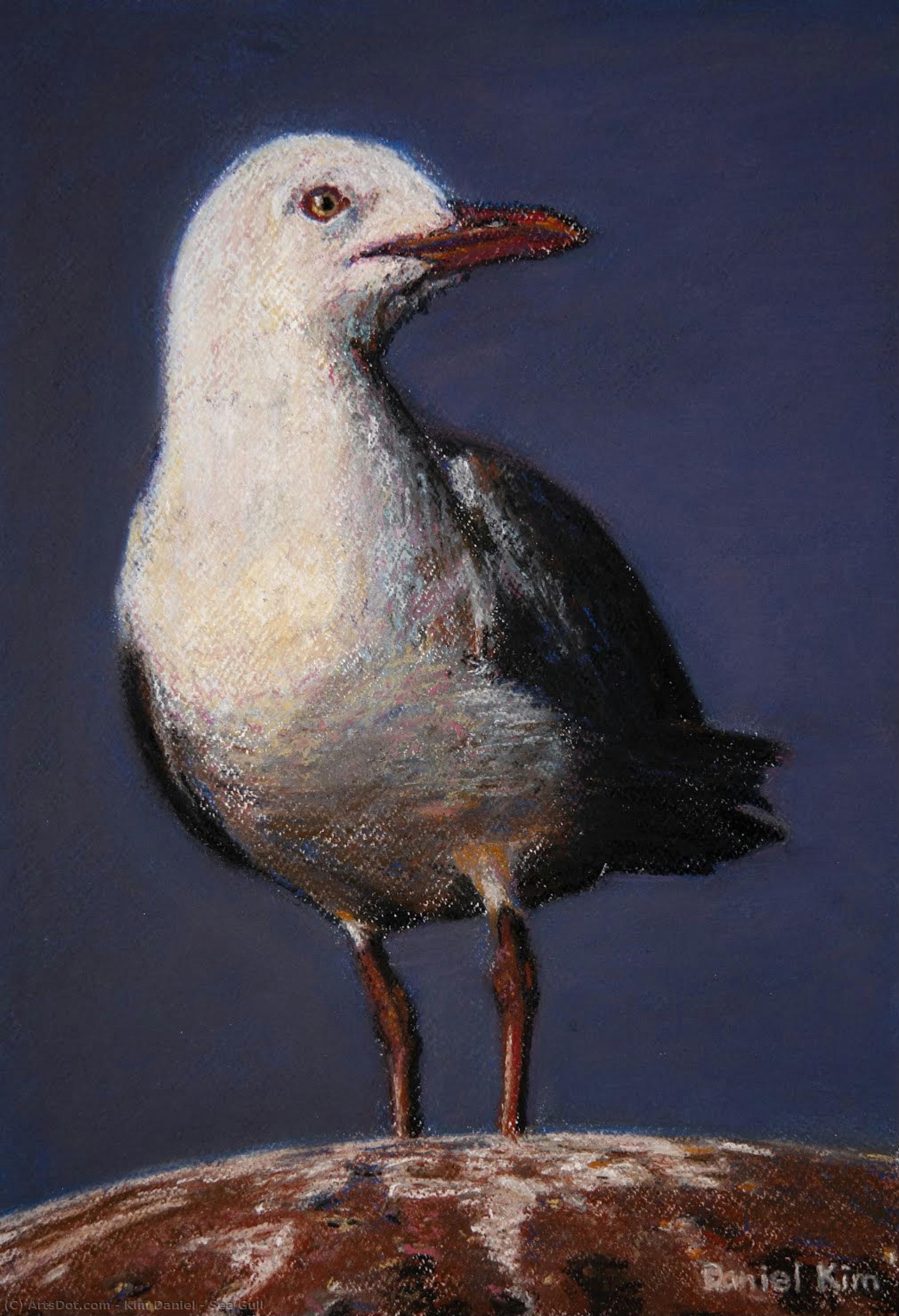 Sea Gull — Kim Daniel