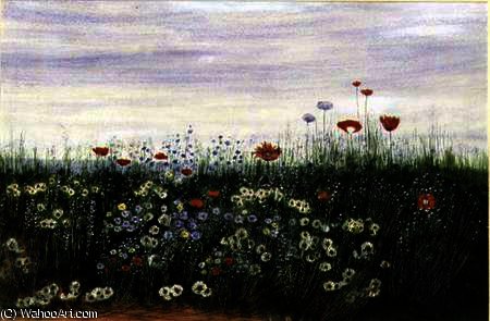 Poppies, Daisies And Other Flowers By The Sea — Andrew Nicholl