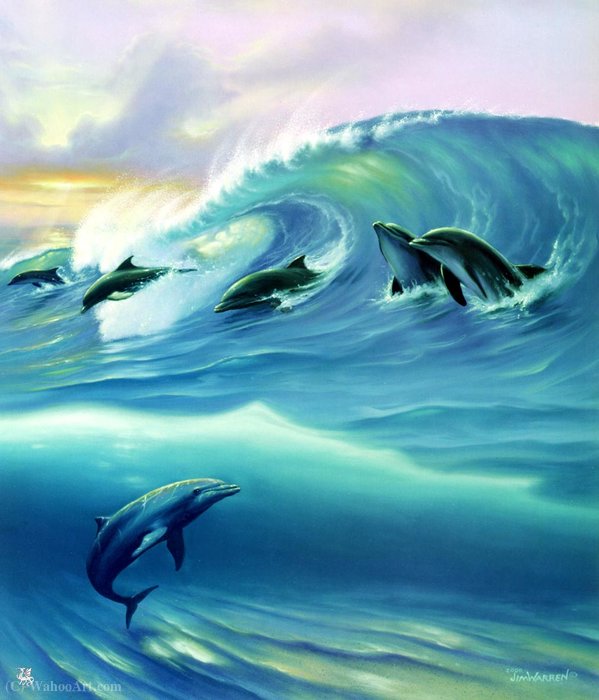 Surfin Dolphins — ジム・ウォーレン