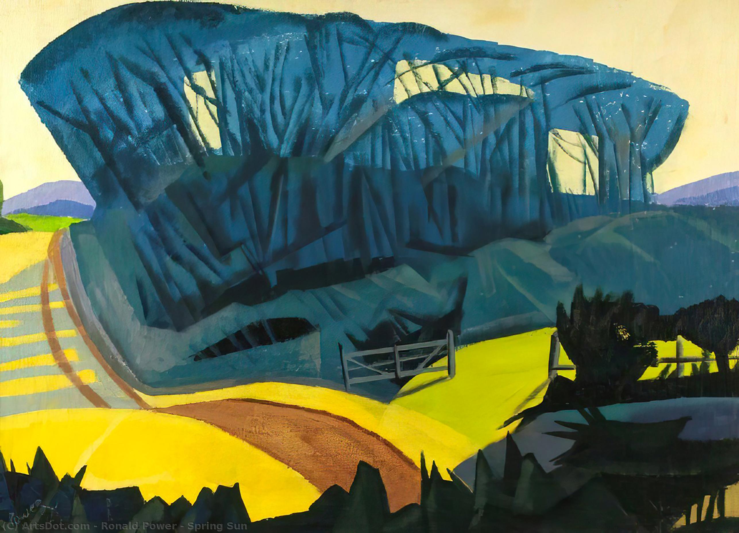Spring Sun — Ronald Power