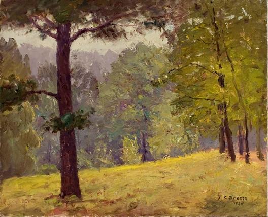 Untitled (heavily Wooded Slope) — Theodore Clement Steele