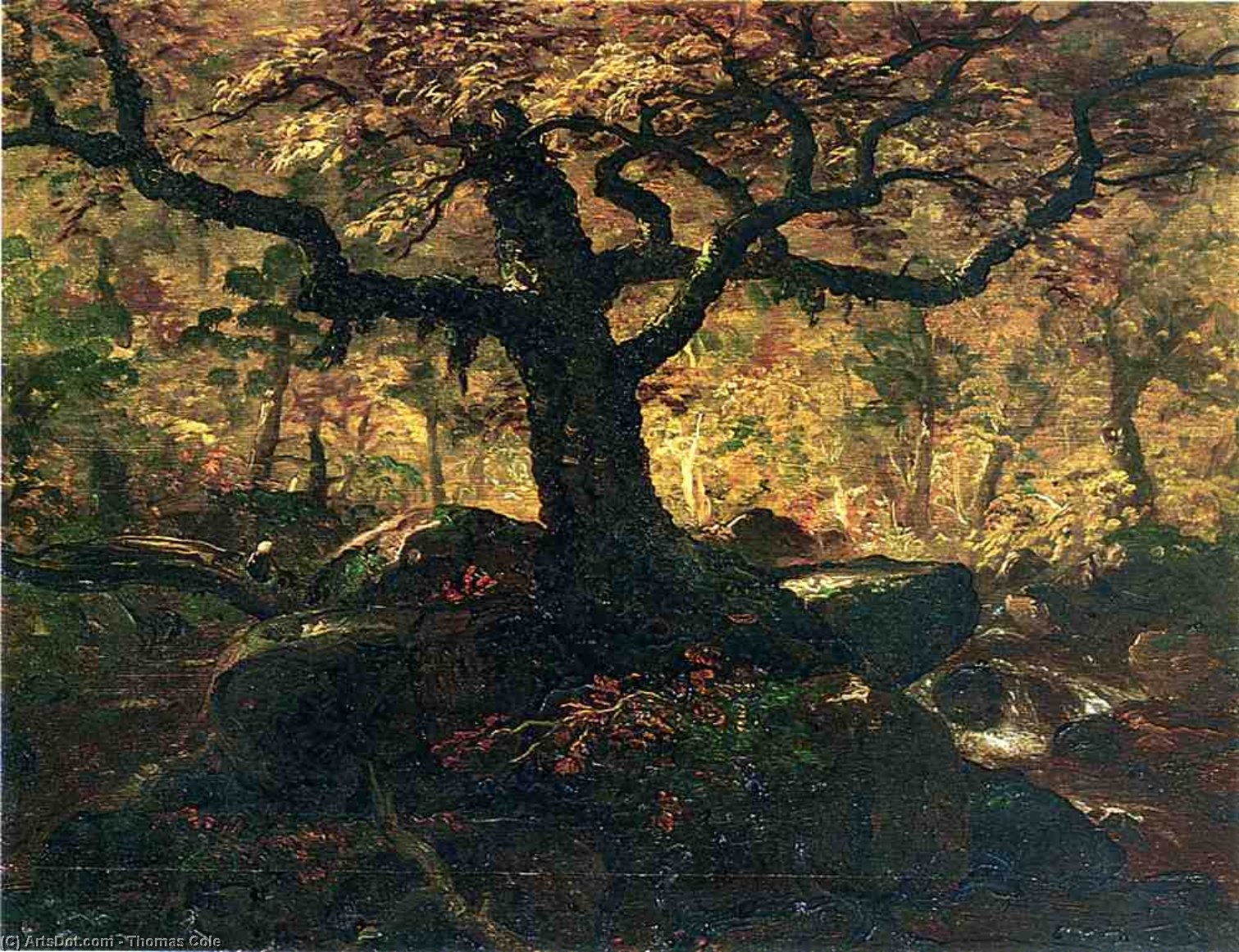 Tree In The Catskills — Томас Коле