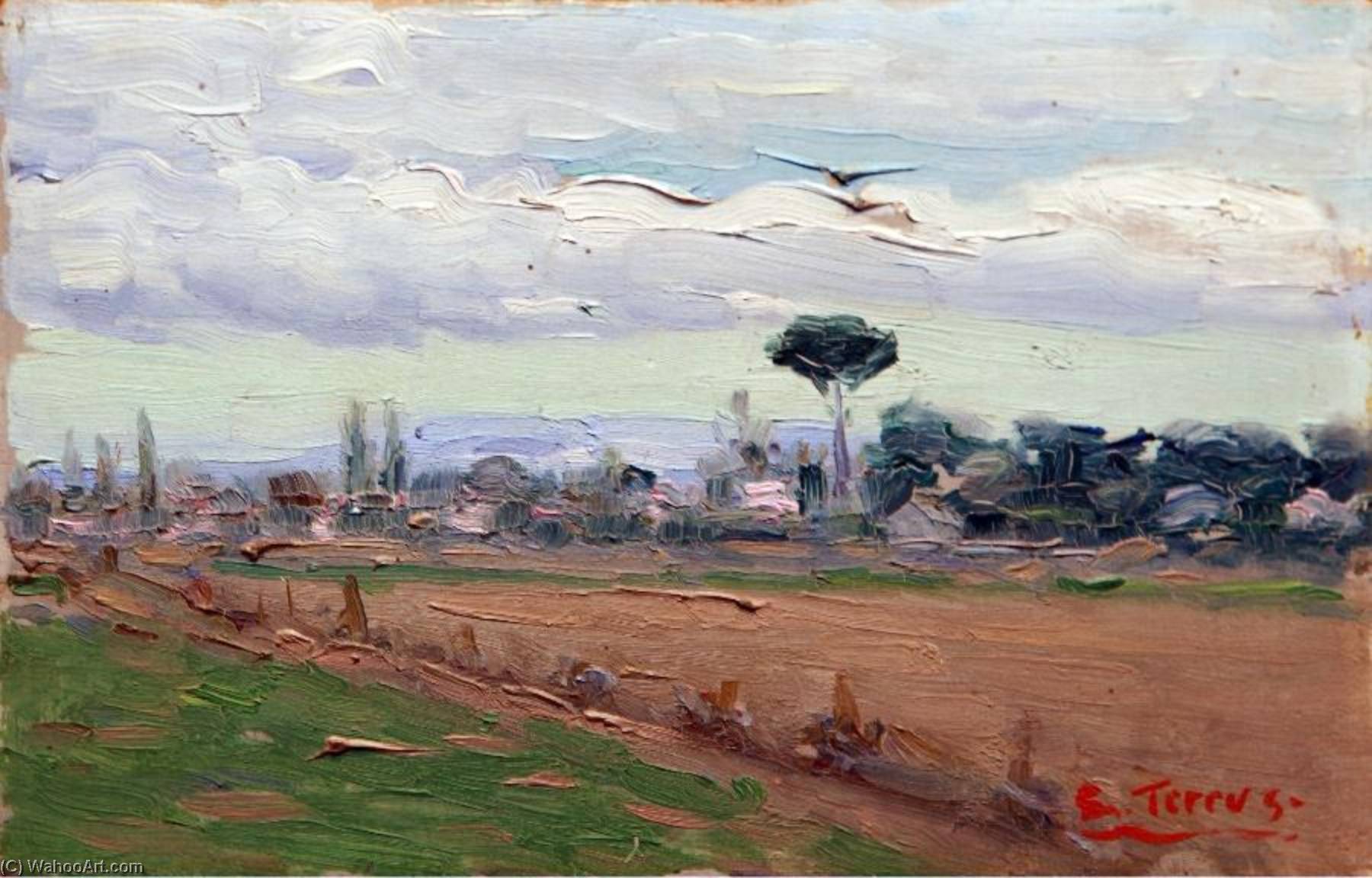 Paysage Avec Pin Parasol — Étienne Terrus