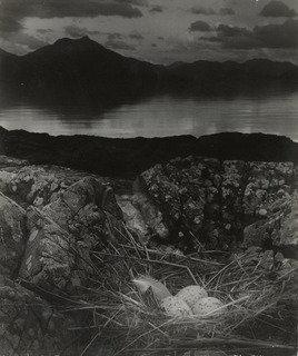 Gull's Nest, Late On Midsummer Night, Isle Of Skye — Bill Brandt