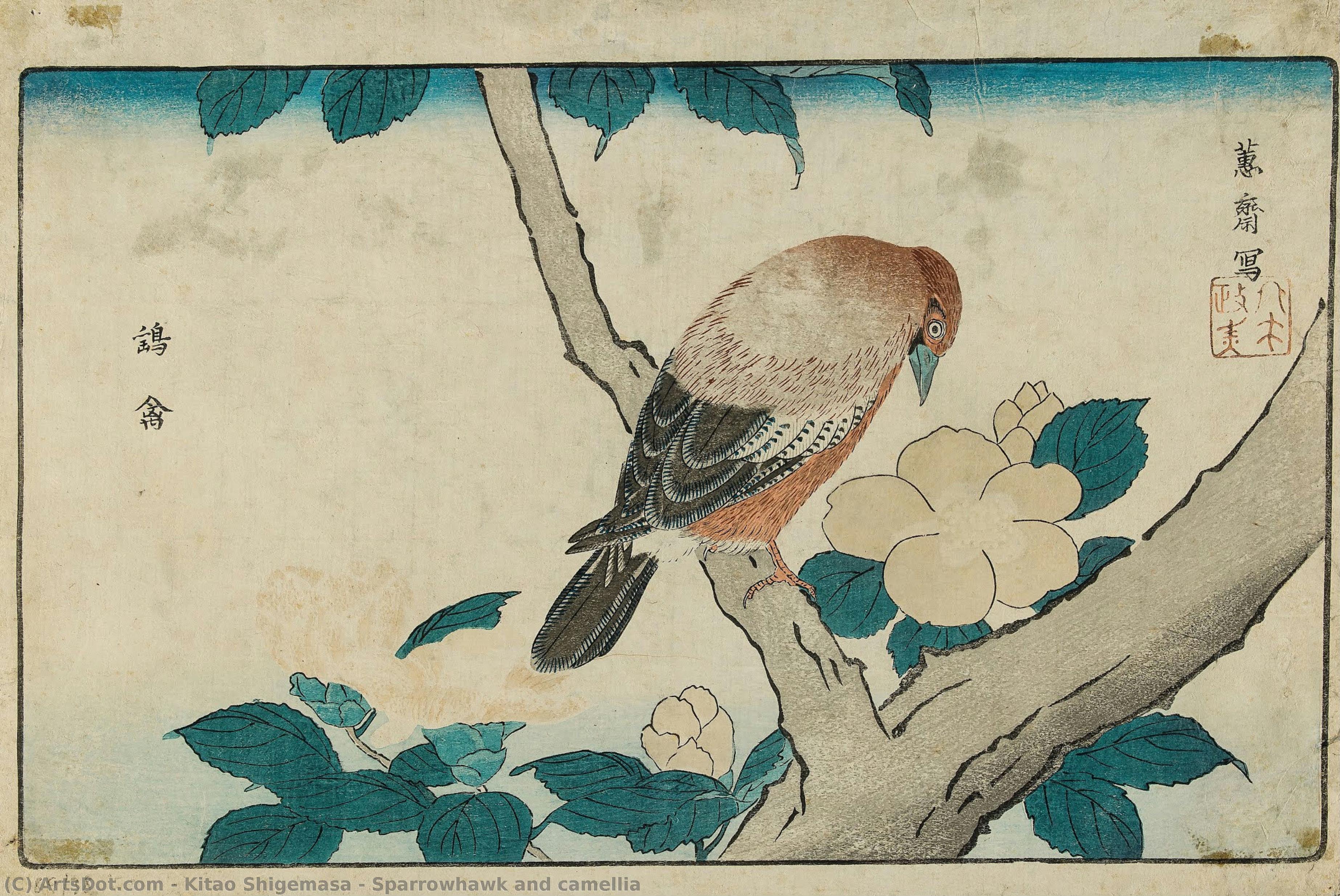 Sparrowhawk And Camellia — Kitao Shigemasa