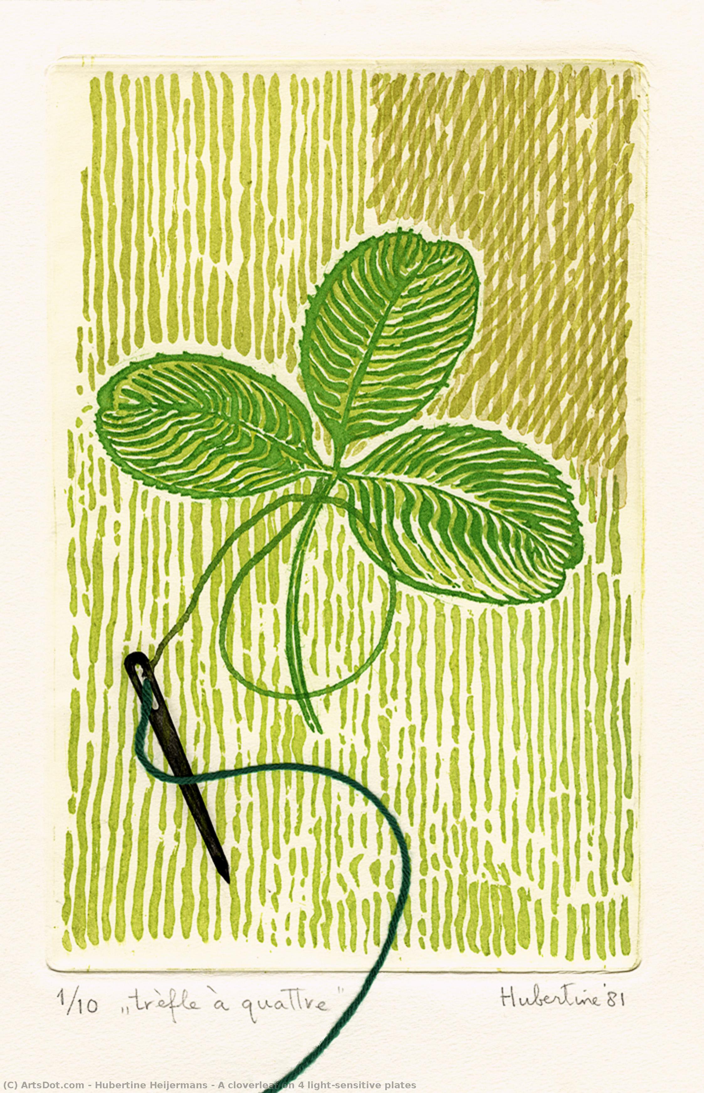 A Cloverleaf On 4 Light-sensitive Plates — Hubertine Heijermans