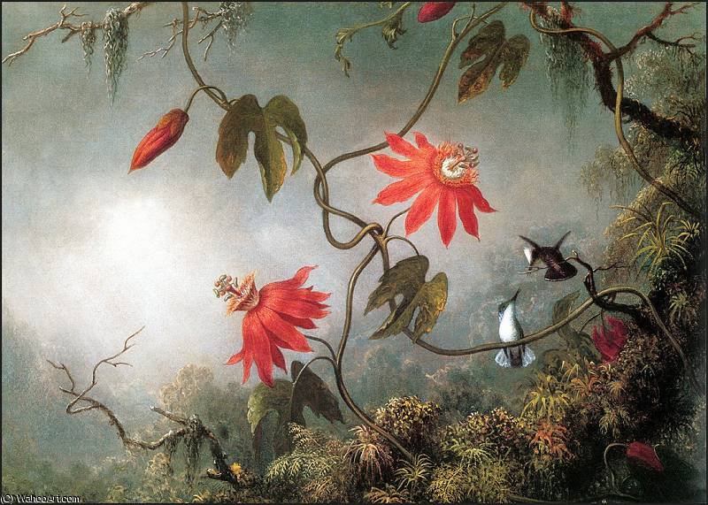 Passion Flowers^ Hummingbirds — Martin Johnson Heade