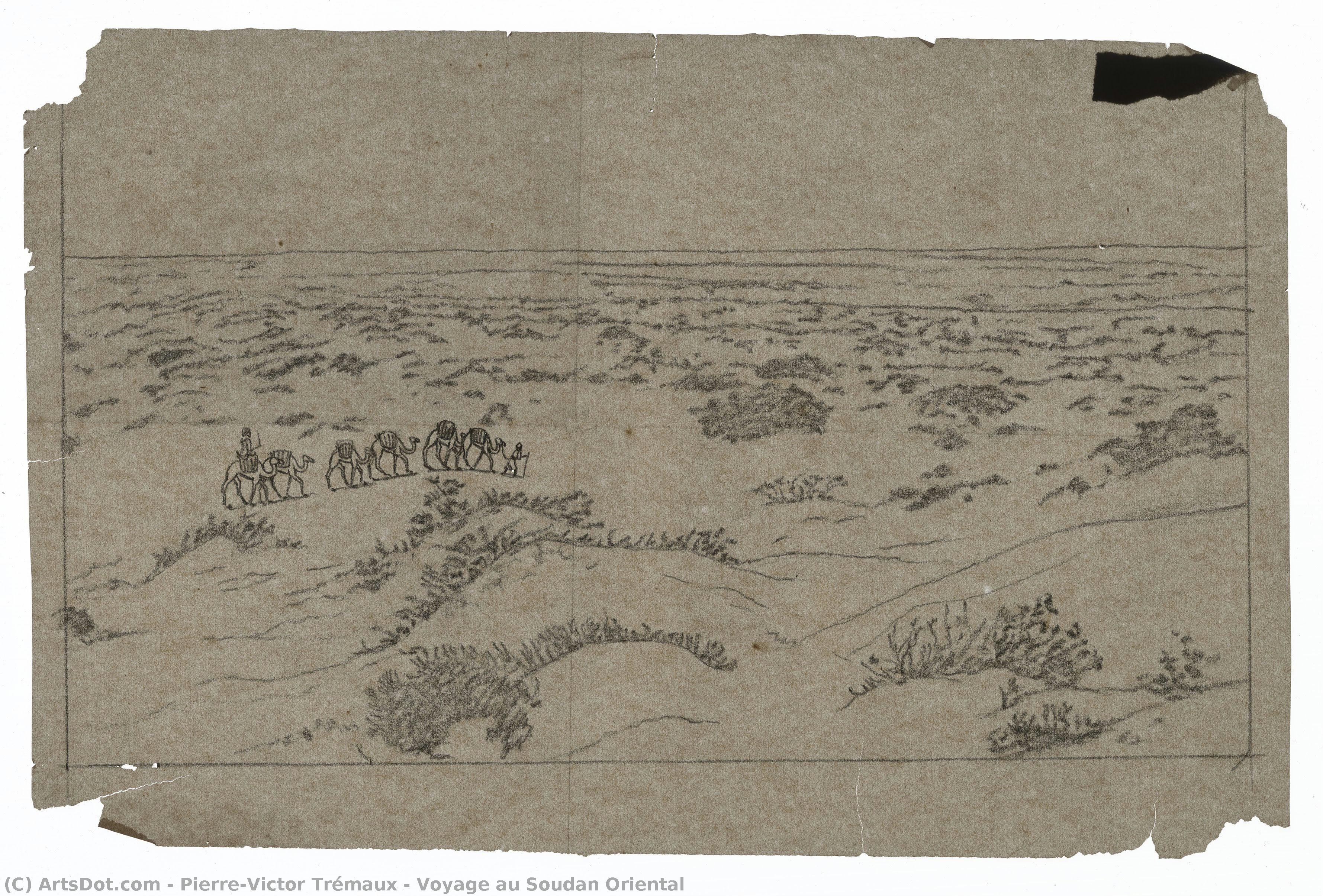 Voyage Au Soudan Oriental — Pierre-victor Trémaux