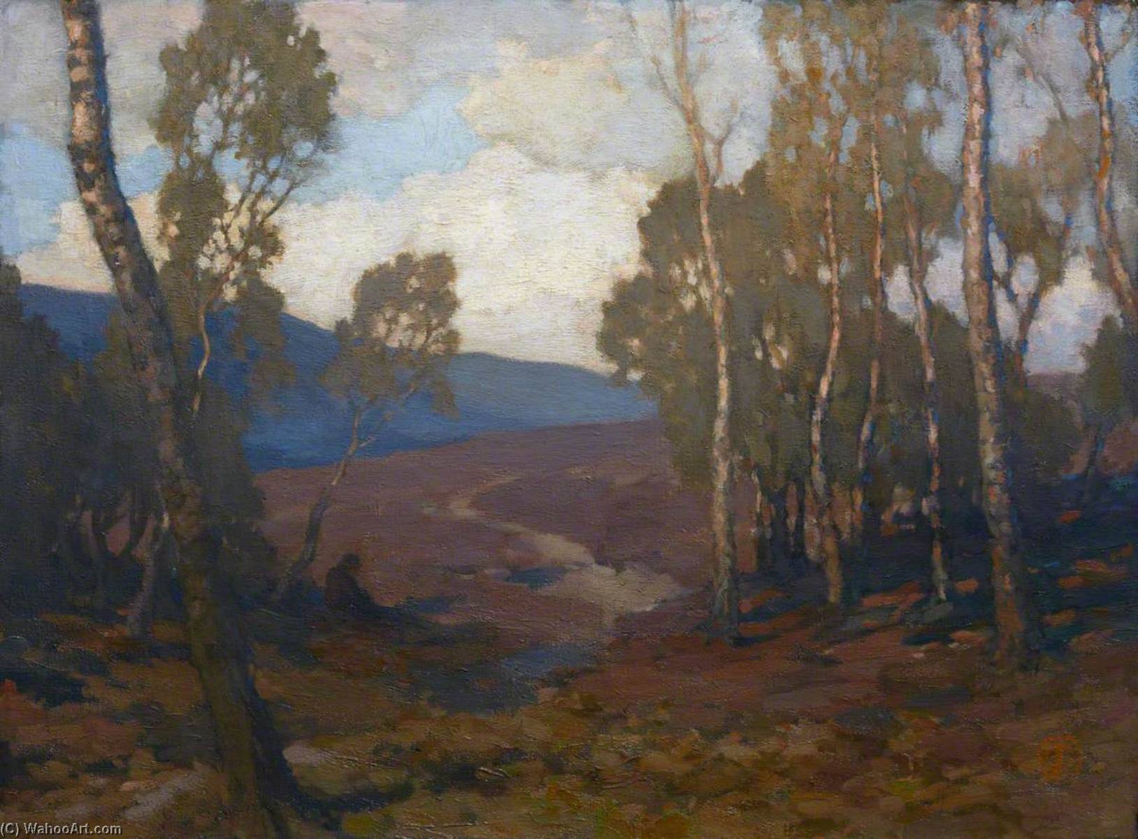 Landscape — James Cadenhead