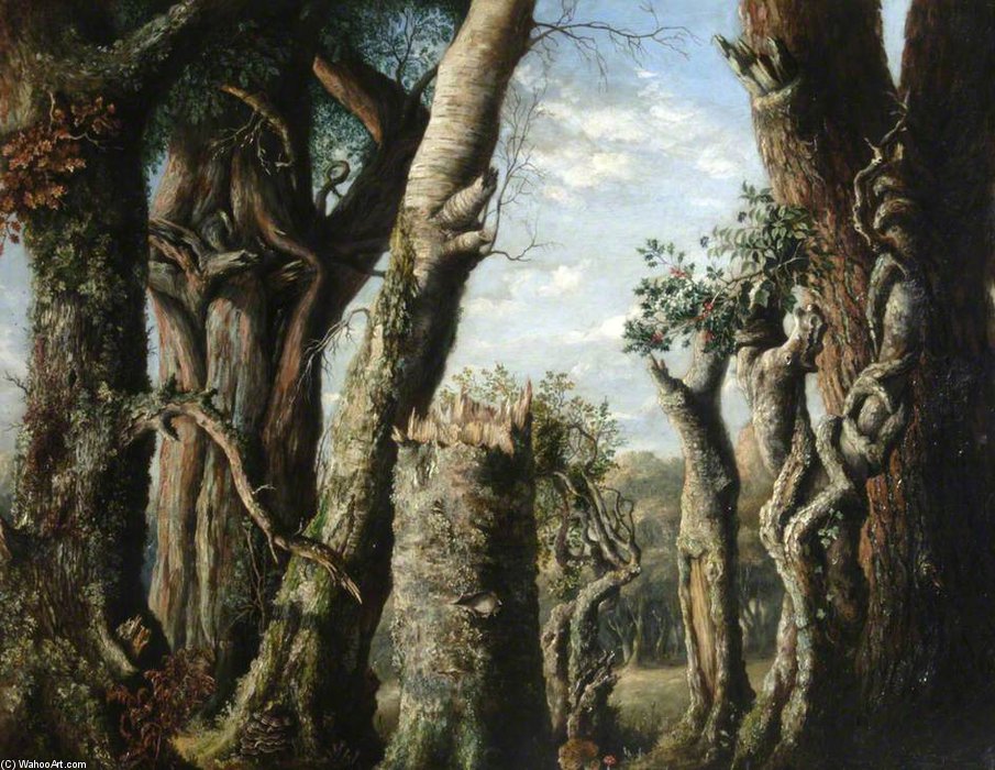 Roble, Acebo Y Otros Árboles — Albrecht Dürer