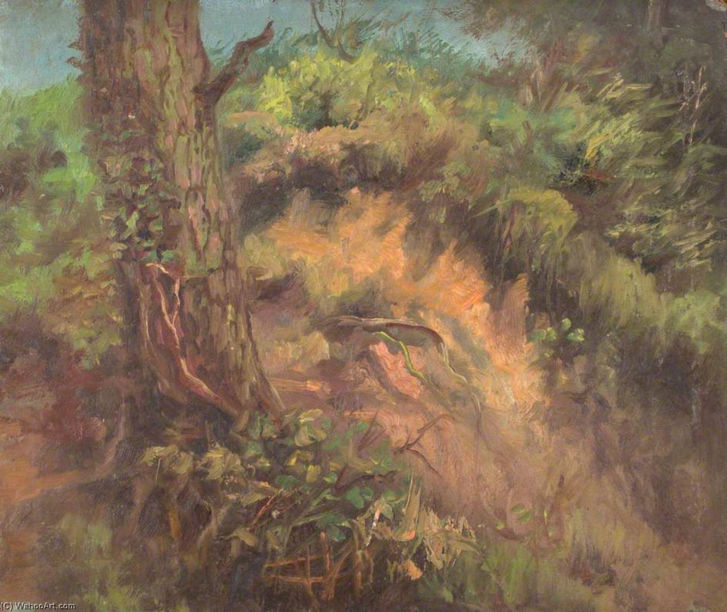 Limpsfield Common, Surrey, 14 July 1896 — William Henry Hope
