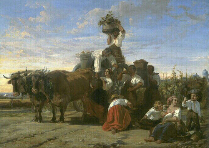 Vendanges Dans Le Médoc — Boulanger Clément