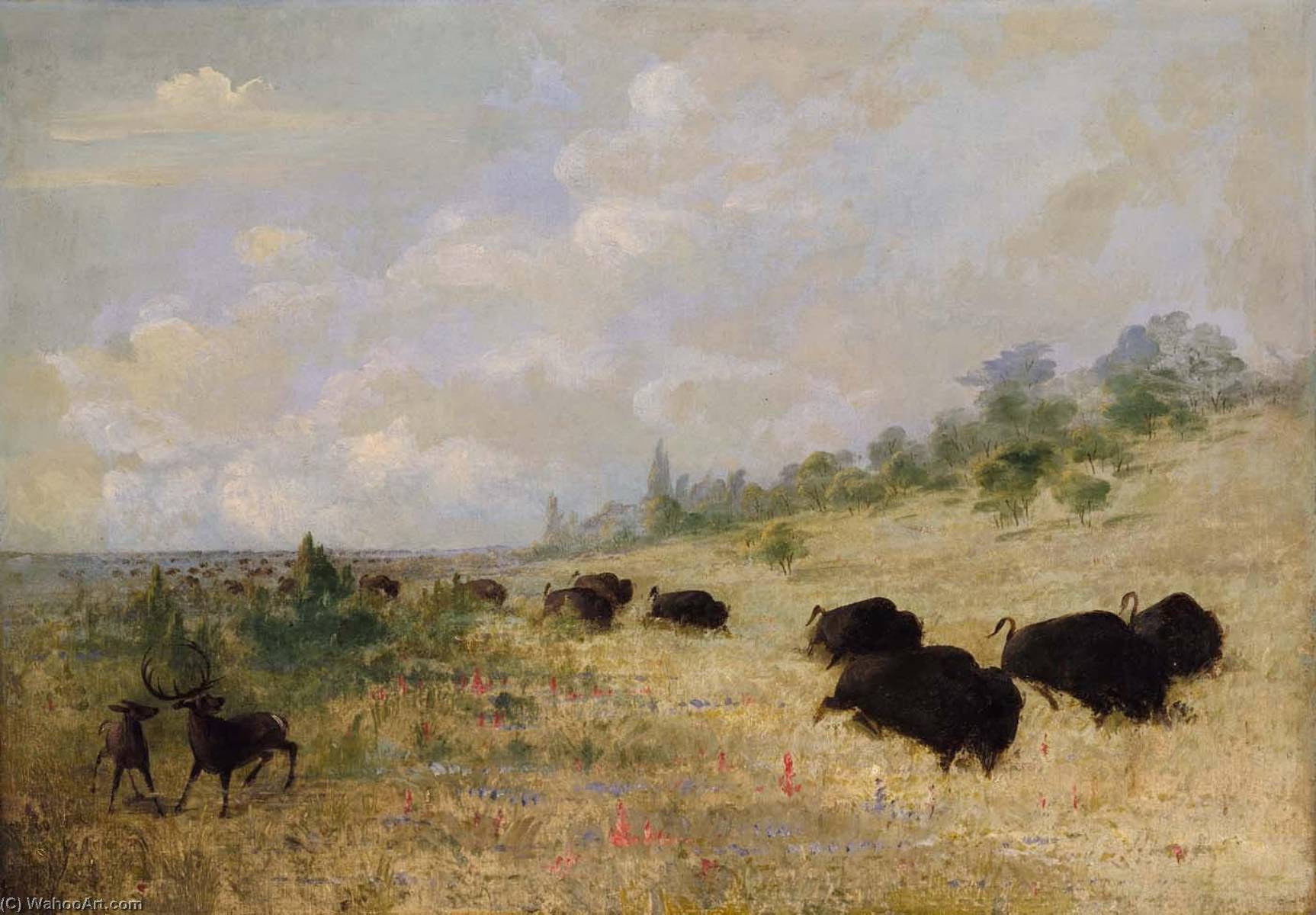 Elk And Buffalo Grazing Among Prairie Flowers, Texas — George Catlin