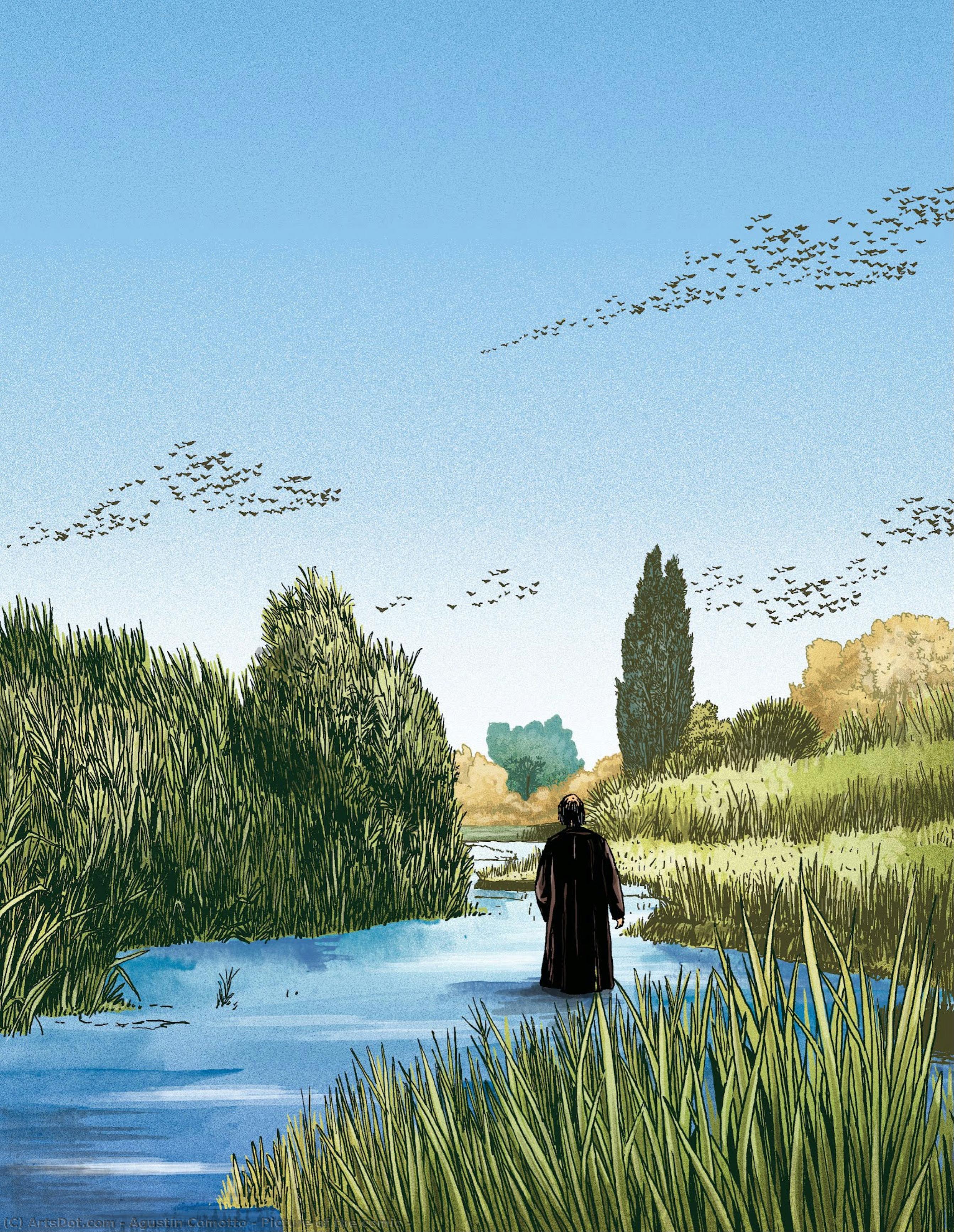 Picture Of The Comic — Agustín Comotto