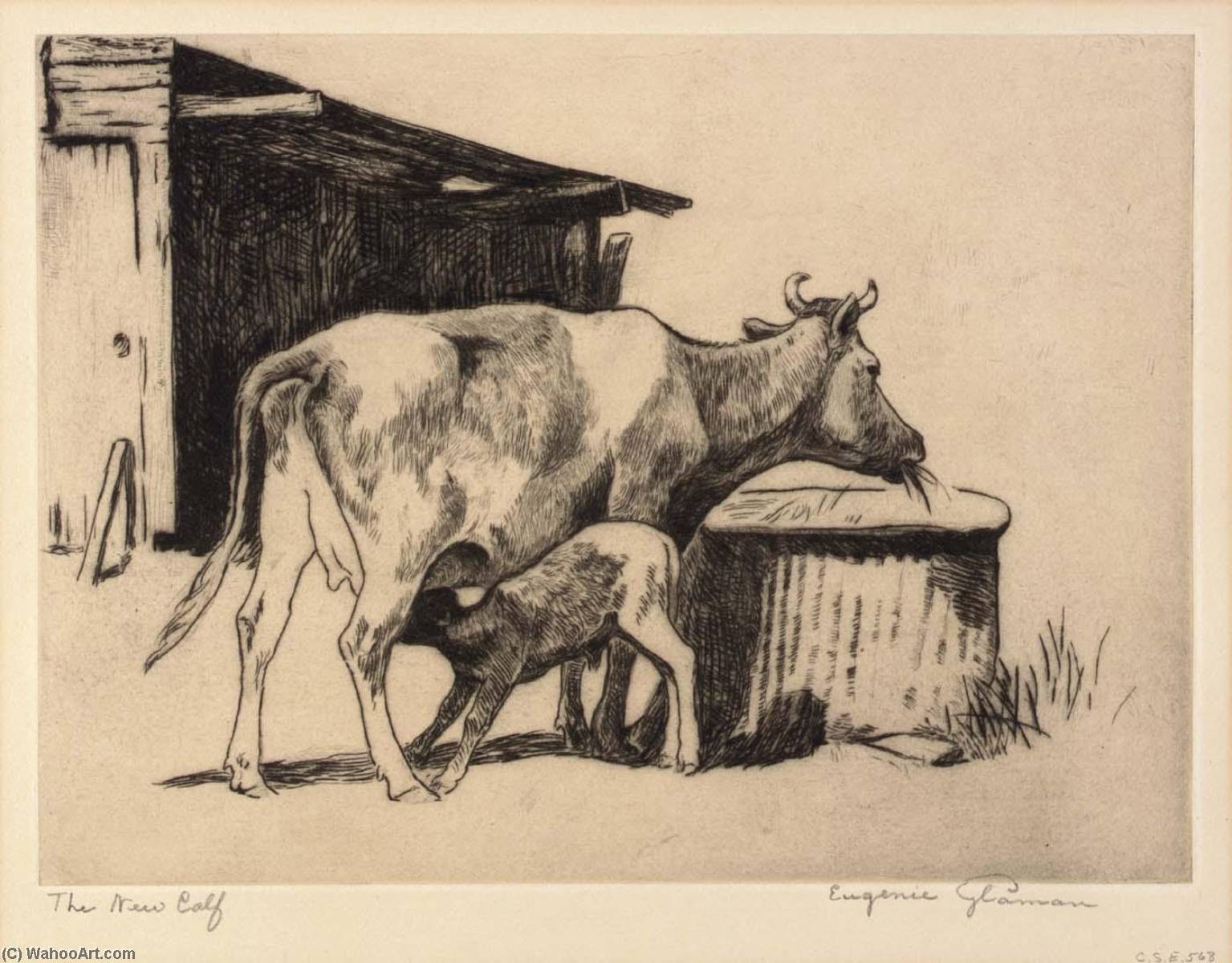 The New Calf — Eugenie Fish Glaman