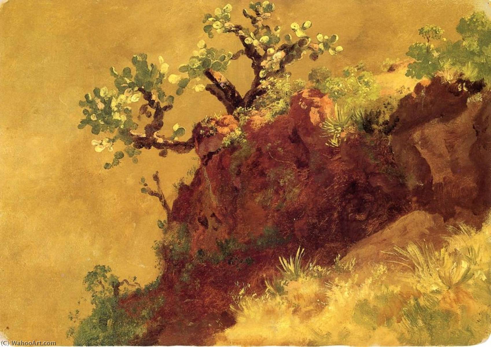 Estudio De Nopal — José María Velasco