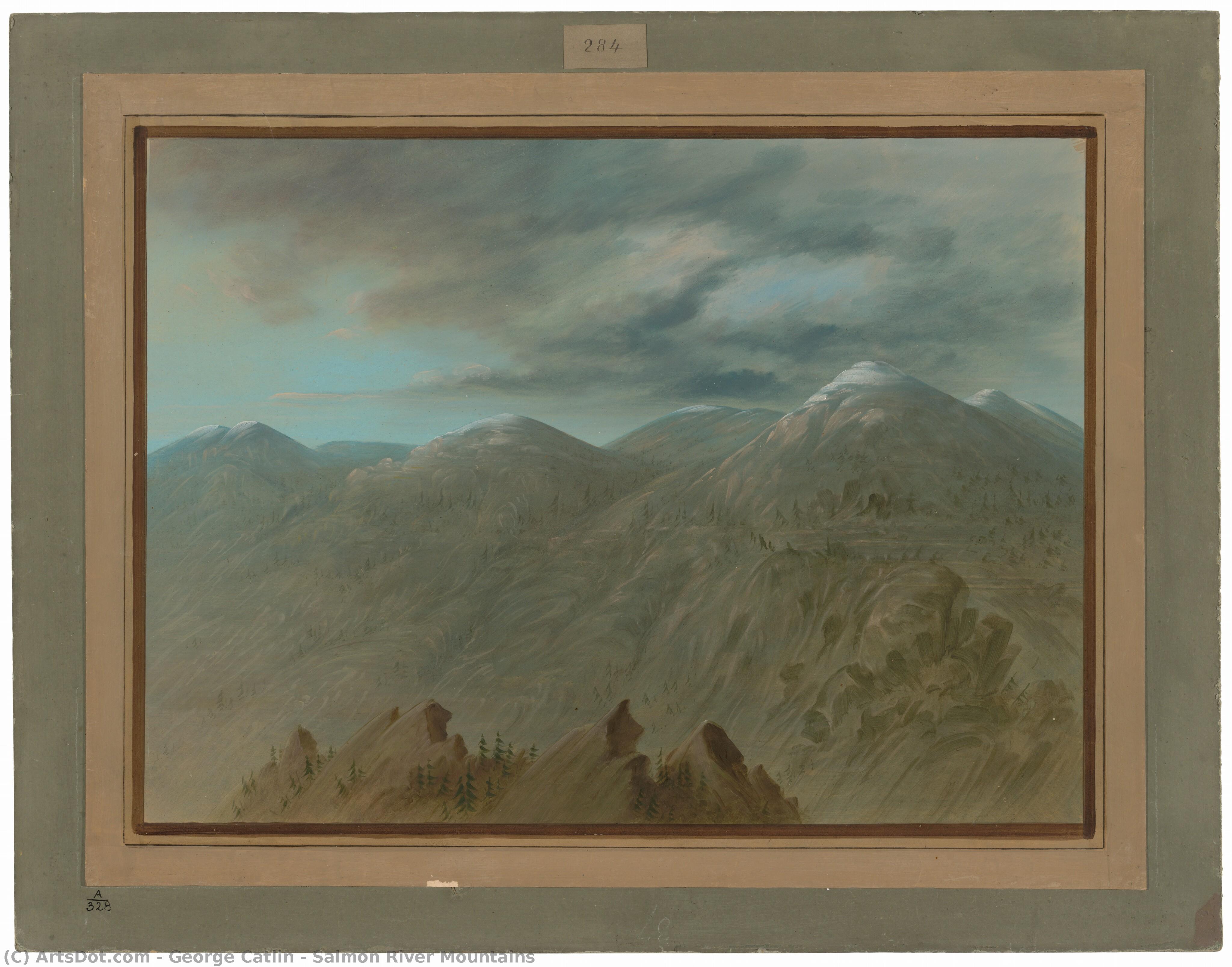 Salmon River Mountains — Džordž Katlin