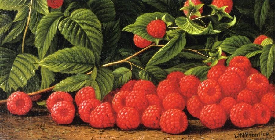 Raspberries — Levi Wells Prentice