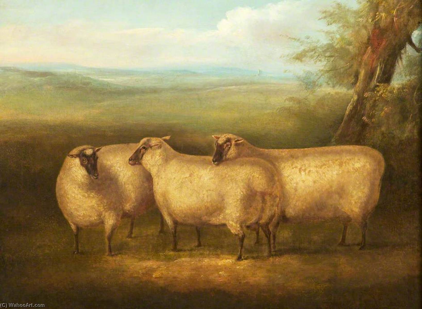 Three South Down Sheep — ウィリアム・ヘンリー・デイヴィス