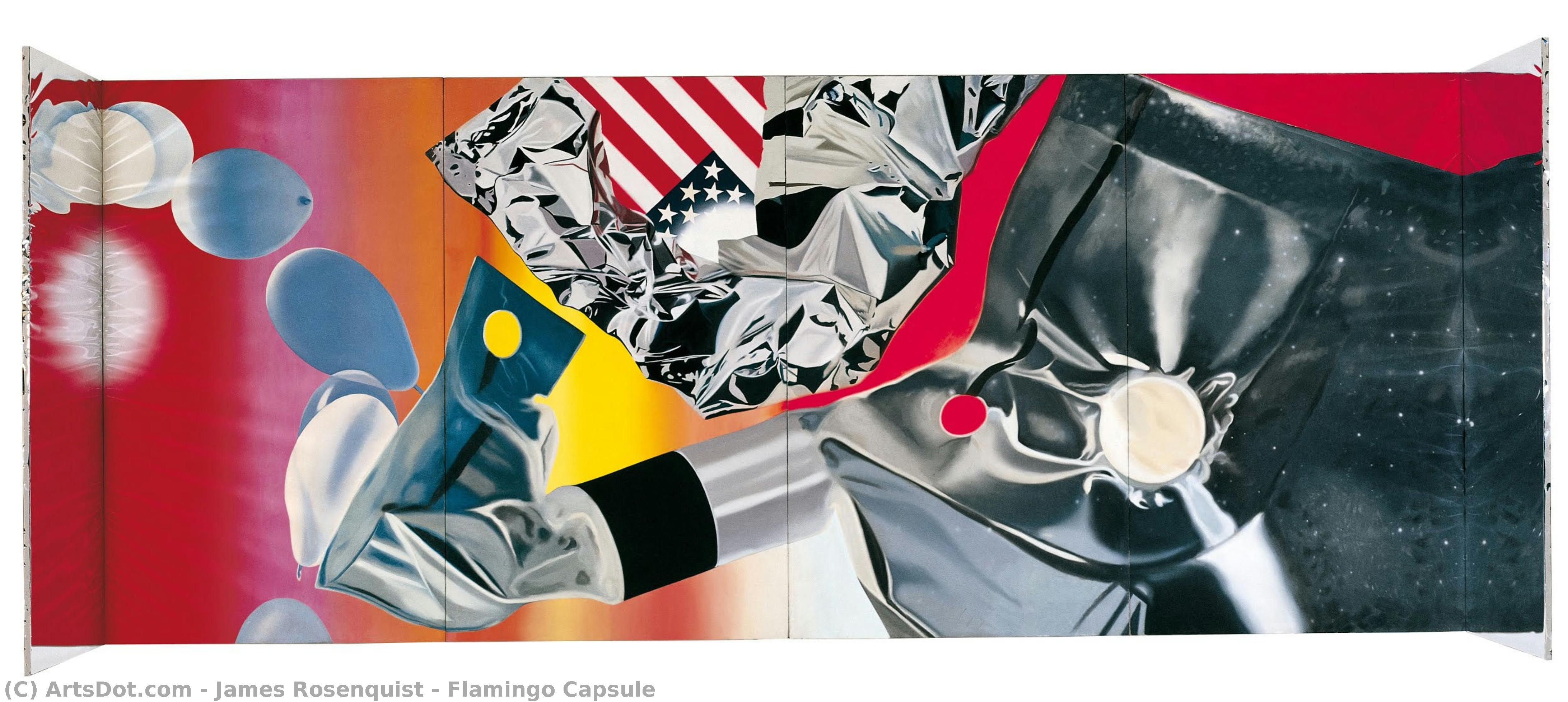 Cápsula De Flamenco — James Rosenquist