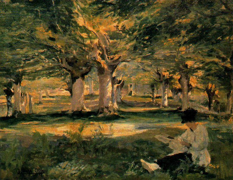 Beech Forest In Urbina — Игнасио Диас Олано