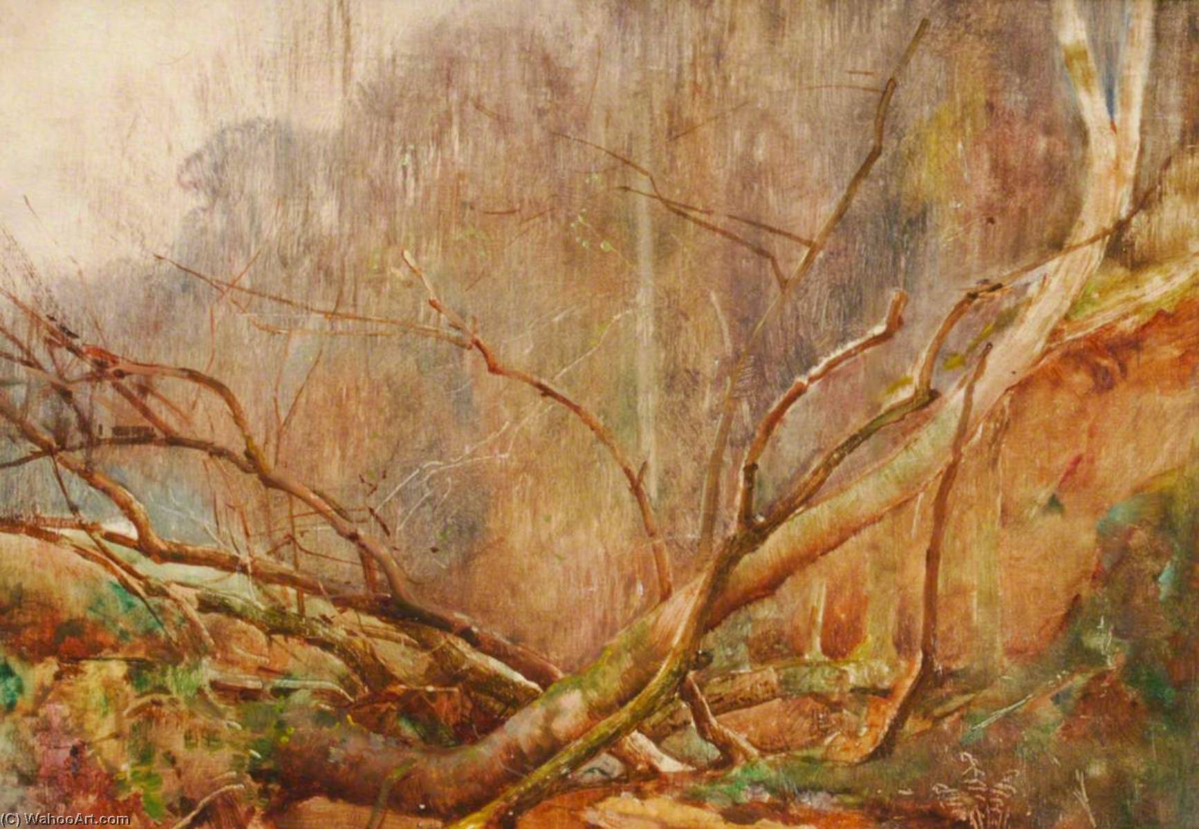 Winter Trees — Benjamin Haughton