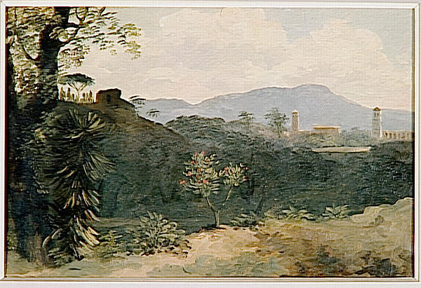 A La Villa Farnese L'arbre Rose — Pierre-henri De Valenciennes