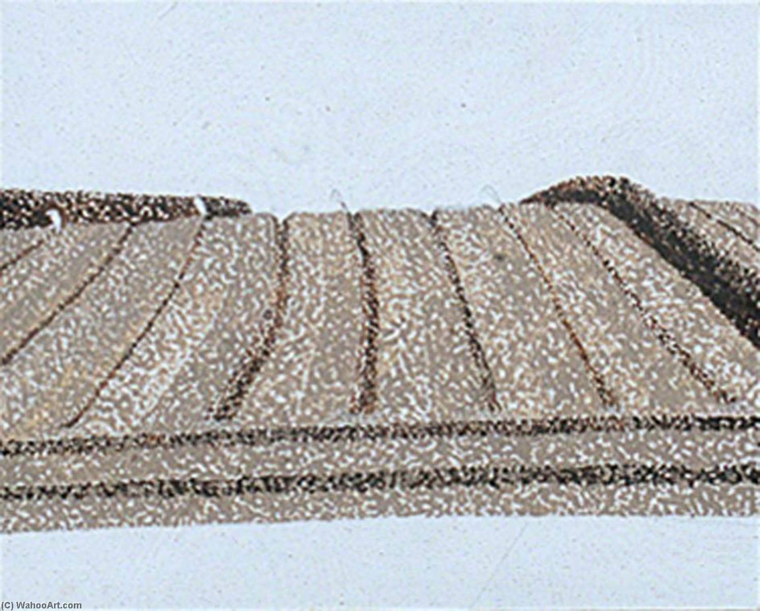 Ploughed Field — Stephen Chaplin