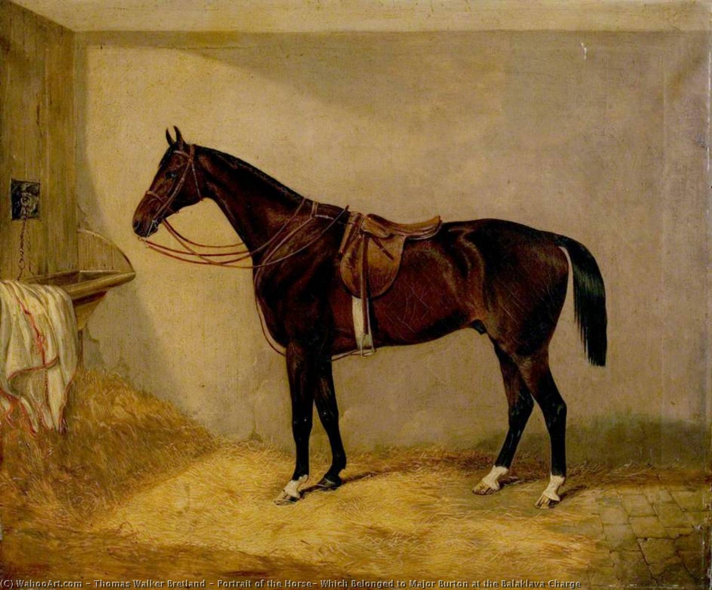 Portrait Of The Horse, Which Belonged To Major Burton At The Balaklava Charge — Thomas Walker Bretland