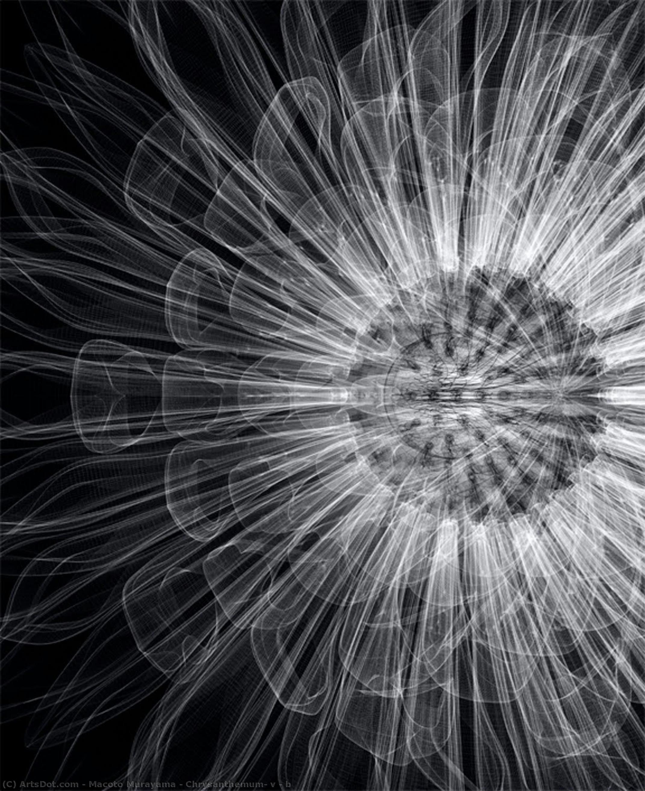 Chrysanthemum- V - B — Macoto Murayama