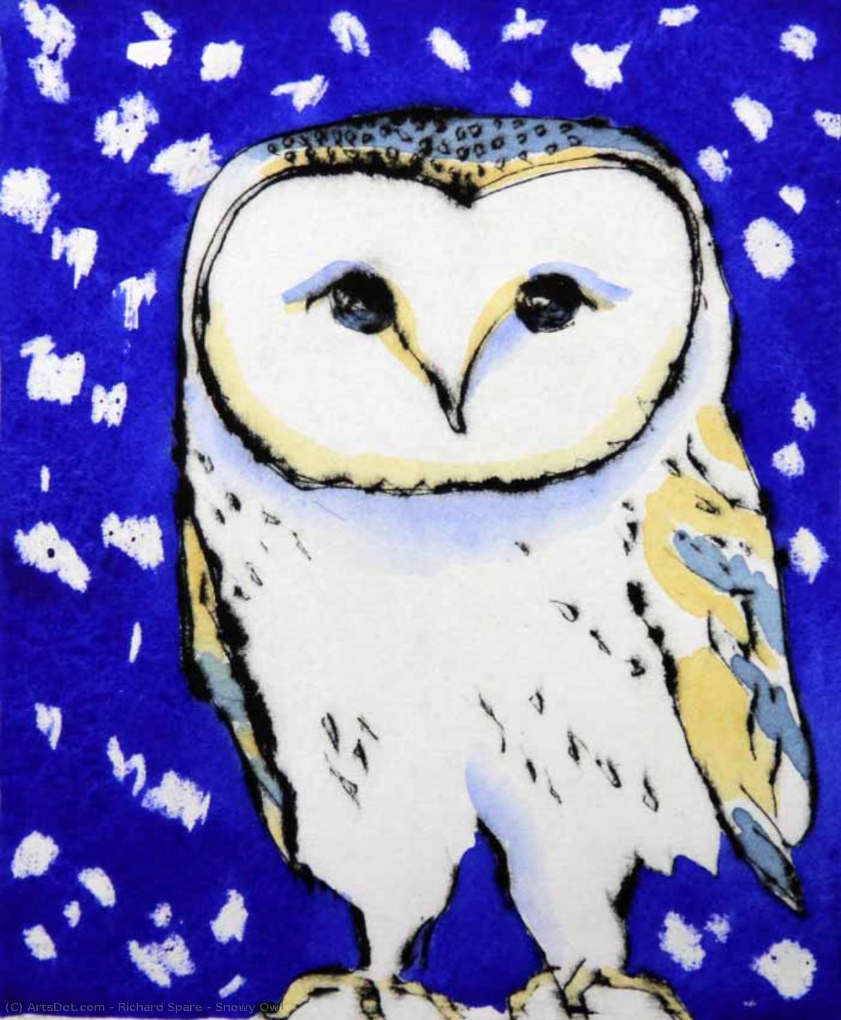 Snowy Owl — Richard John Spare