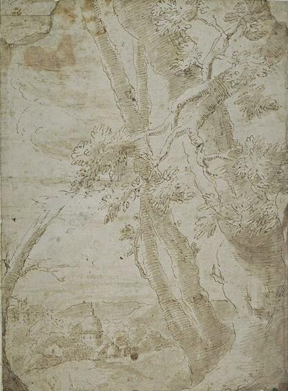 Town In A Wooded Bowl, Visible Between The Trees — Salvator Rosa