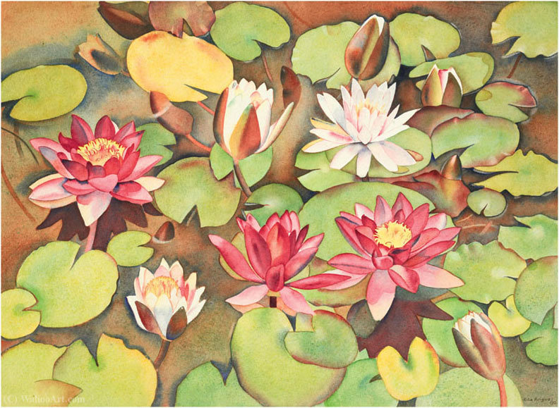 Waterlilies — Rita Angus