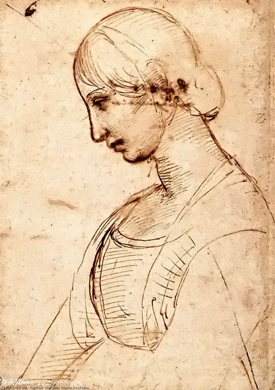Portrait Of A Young Woman — Raphael
