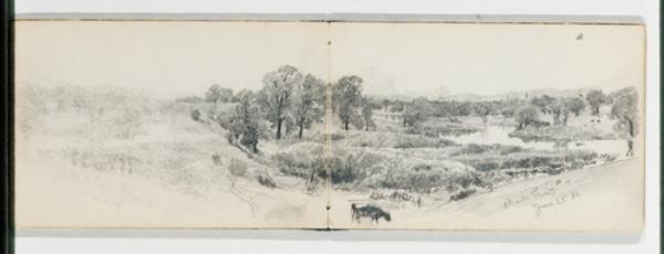 Trees On The Bank Of The Charles River June 22 , 1886 — William Trost Richards