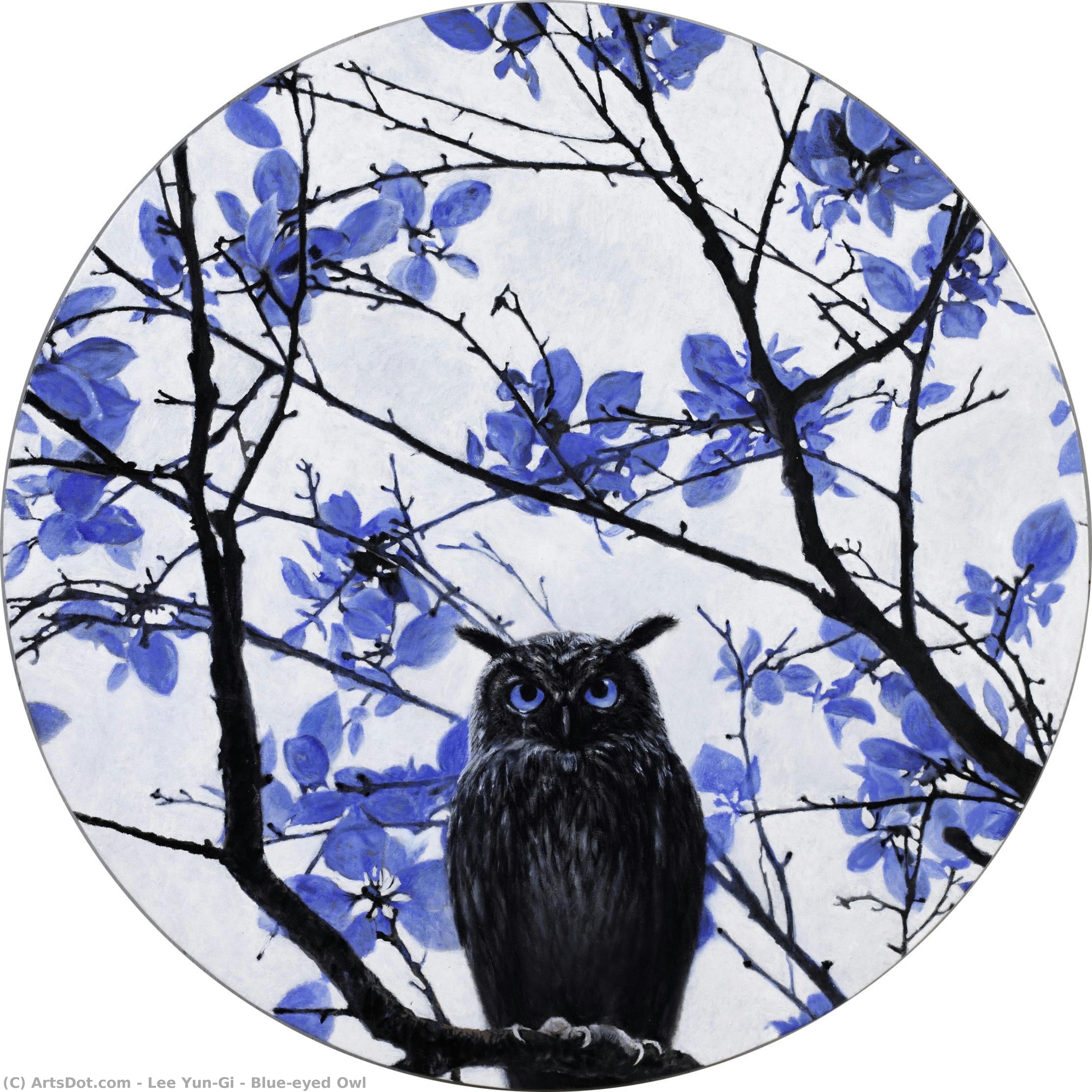 Blue-eyed Owl — Lee Yun-gi