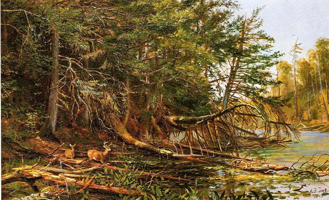 The Outlet Of St. Regis Lake — Arthur Fitzwilliam Tait