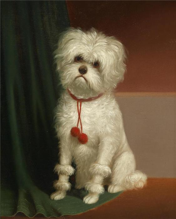 Untitled — Carl Reichert