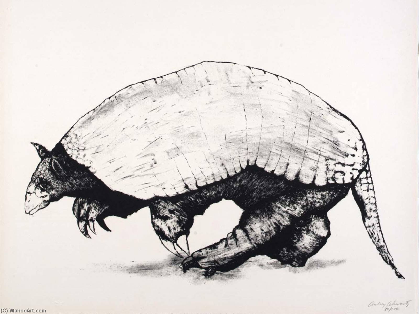 (a Bestiary, Portfolio) Armadillo — Aubrey Schwartz